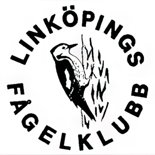 Årsmöte 2025