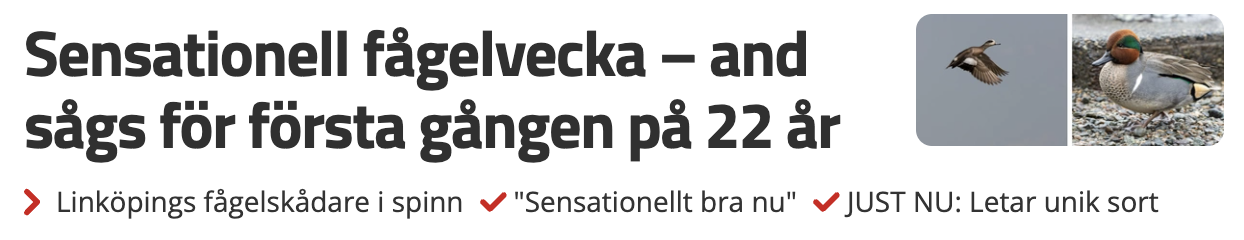 Artikel i Östgöta Correspondenten