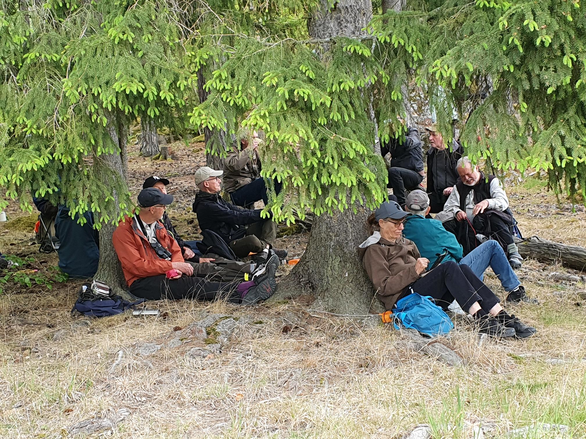 Tinnerövandring 13 maj